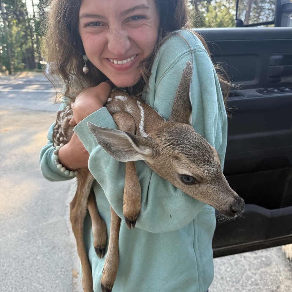 Meet your Posher, Naomie